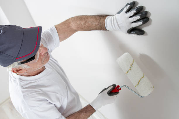 Best Basement Mold Removal  in Arcadia, WI
