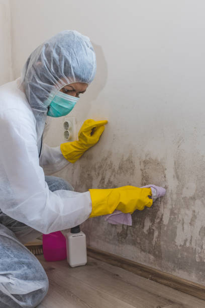 Best Air Quality Testing for Mold Spores  in Arcadia, WI