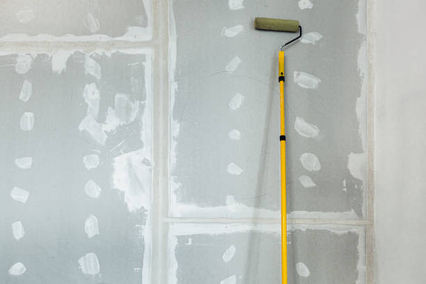 Best Water Damage & Mold Remediation  in Arcadia, WI